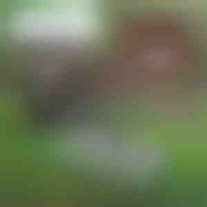 Мултифункционален алат за одржување на почвата | PRONGSPRO