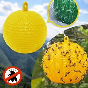 6-Пакет лепливи стапици за муви | BUGIORB