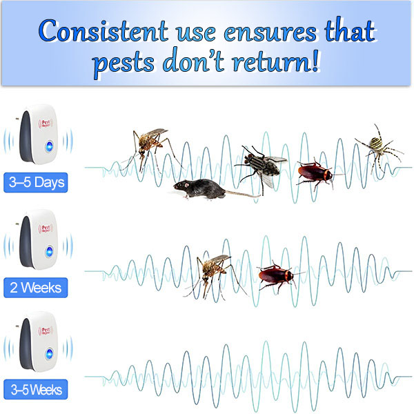 EN-BUGBUSTER110745__e62aadcd