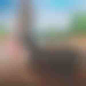 Патна торба лесна за носење | FOLDARA