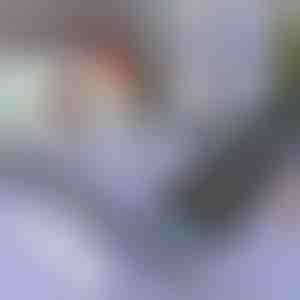 Сенкило за автомобили и прозорци | SUNGUARD