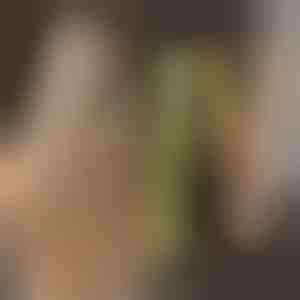 Пегла за коса и стајлер TWISTLINE