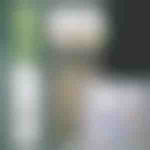 Дозатор за паста за заби и држач за четки за заби | BRUSHBASE