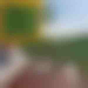 Панел за приватност со вештачки лисја | LEAFPANEL