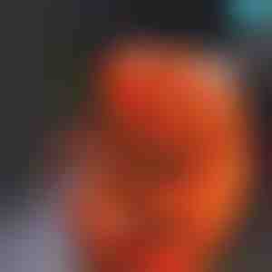 Острилка за дупчење за прецизни рабови | BUSPRA