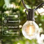 YARDBULBS13817-EN