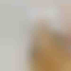 Четка за миленичиња со спреј на пареа на полнење за пролевање | GROOMSY