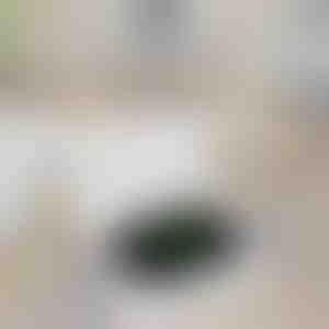 Пренослива банка за полнење на часовници | WATCHBANK