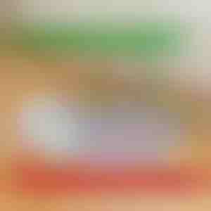 Повторно употребливи, непропустливи подлоги за кучиња | PAWSORB